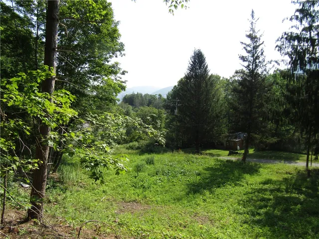 $79,000 | 1265 Upper Meeker Hollow Road, Roxbury, NY 12474