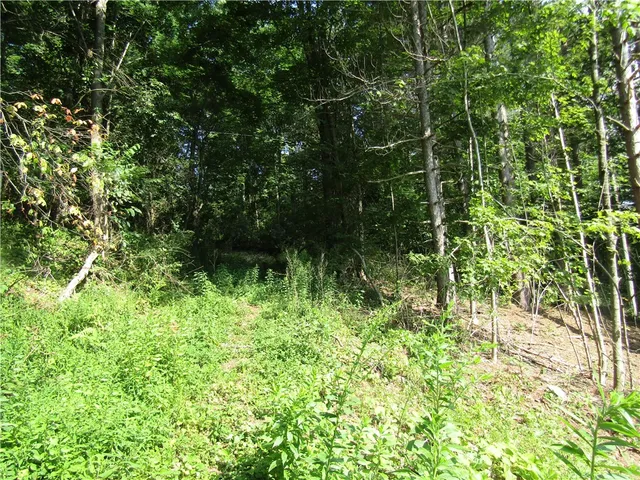 $79,000 | 1265 Upper Meeker Hollow Road, Roxbury, NY 12474