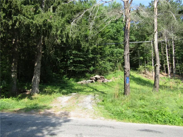 $79,000 | 1265 Upper Meeker Hollow Road, Roxbury, NY 12474