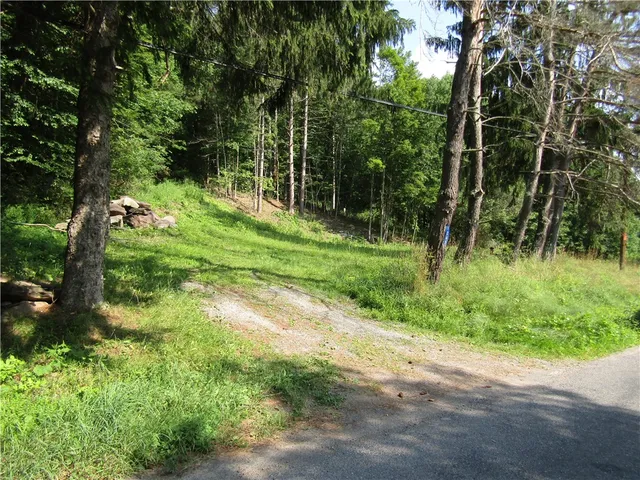 $79,000 | 1265 Upper Meeker Hollow Road, Roxbury, NY 12474