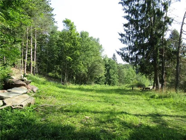 $79,000 | 1265 Upper Meeker Hollow Road, Roxbury, NY 12474