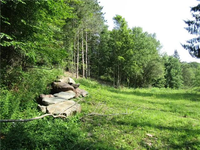 $79,000 | 1265 Upper Meeker Hollow Road, Roxbury, NY 12474