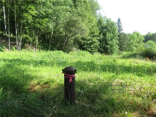 $79,000 | 1265 Upper Meeker Hollow Road, Roxbury, NY 12474