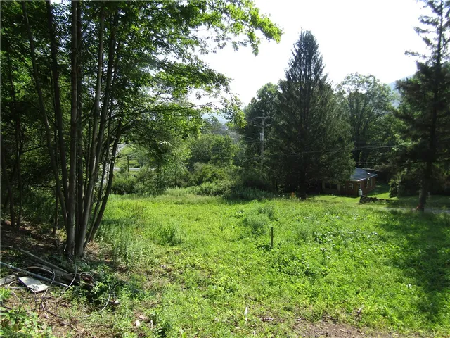 $79,000 | 1265 Upper Meeker Hollow Road, Roxbury, NY 12474