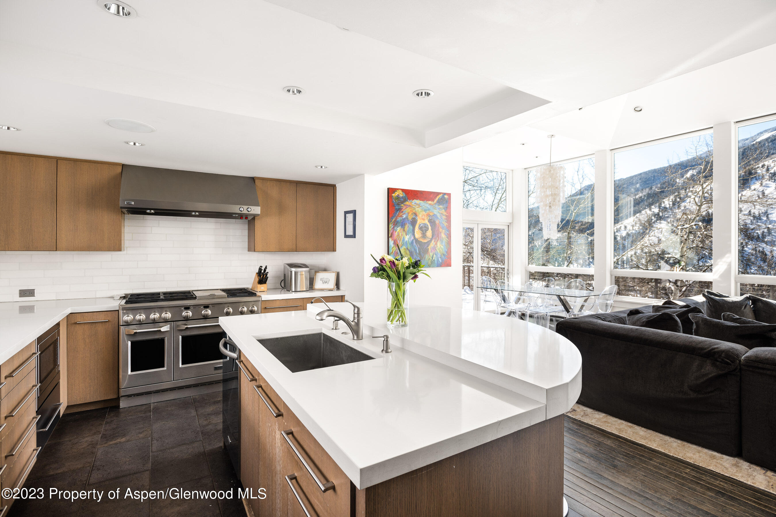 602 Mountain Laurel Drive Aspen, CO 81611 - Photo 6 of 23 a kitchen with a stove a sink and a refrigerator