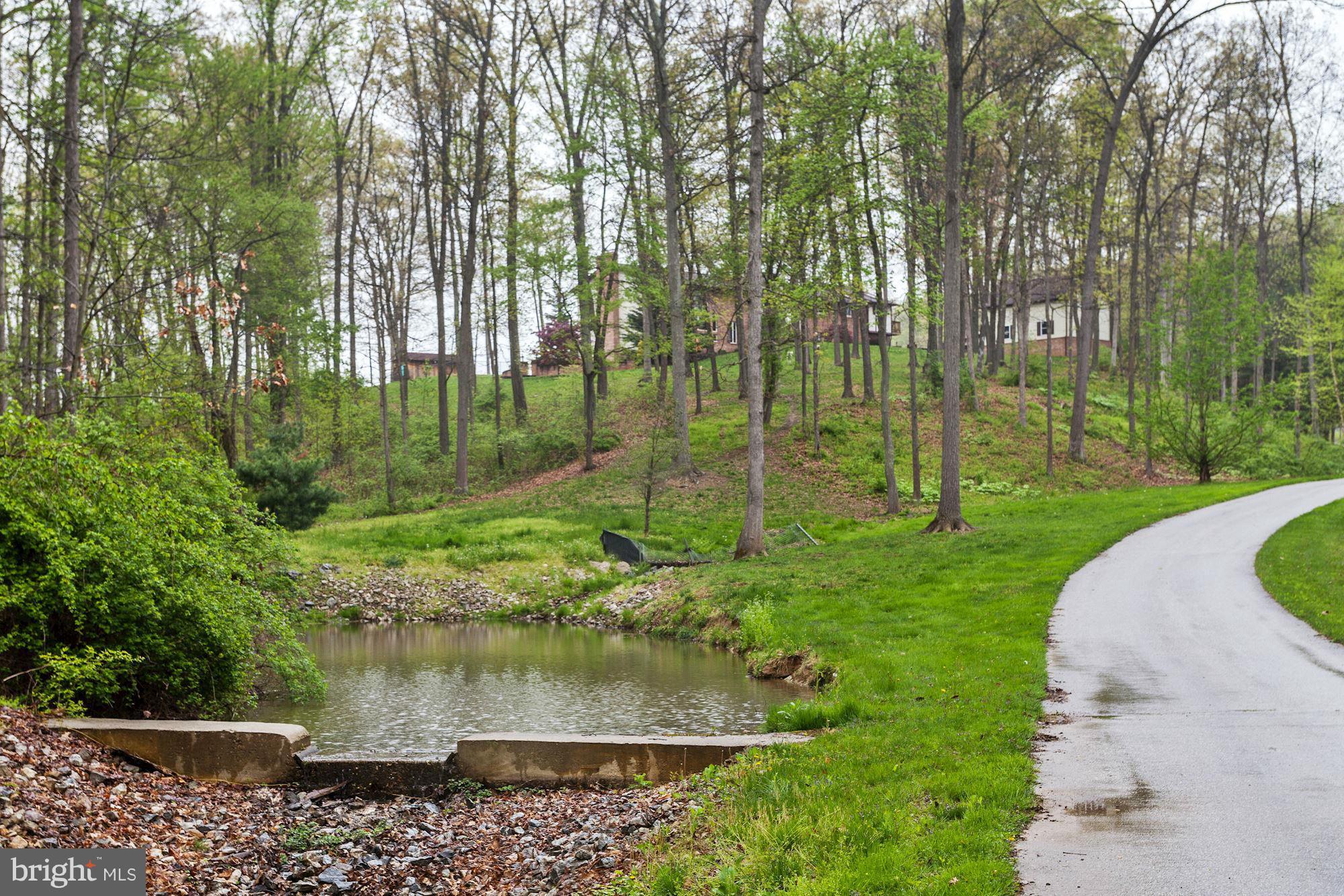 750 Silver Run Valley Road Westminster, MD 21158 - Photo 25 of 30 Pond