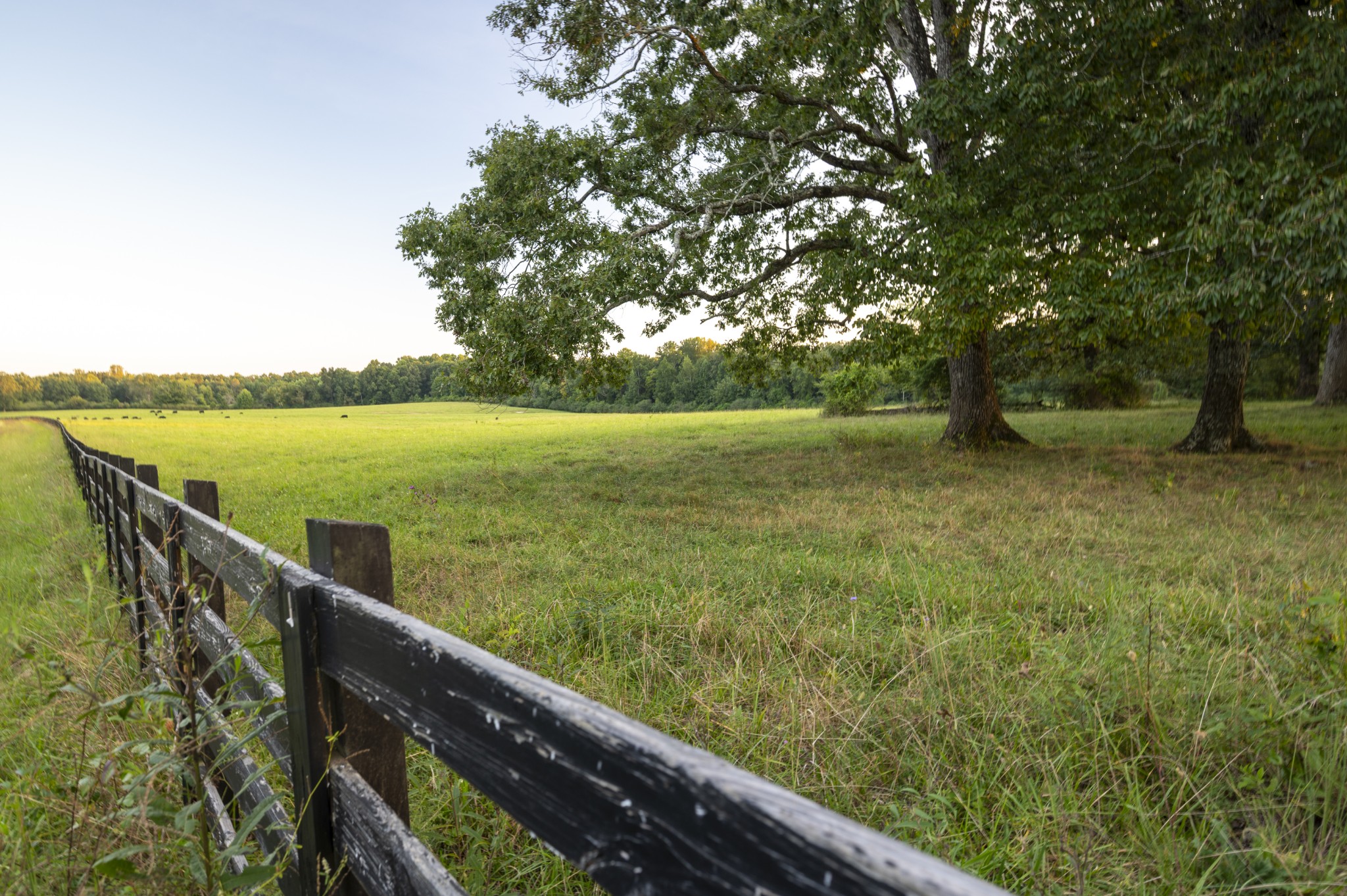 4000 Jumpoff Road Sewanee, TN 37375 - Photo 19 of 68 Gallery Image 19
