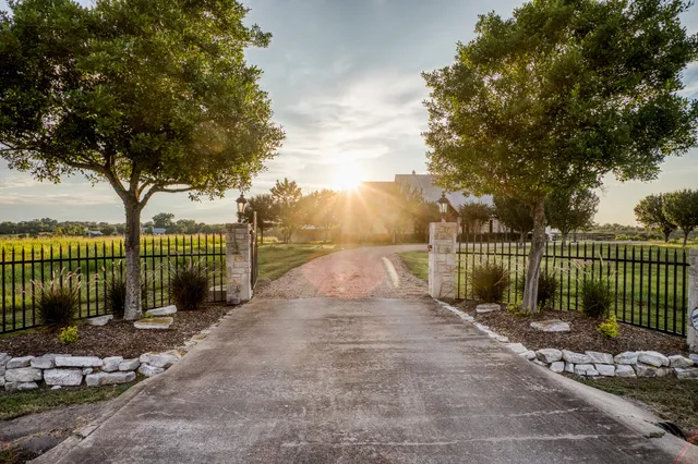 a view of a park with a large trees