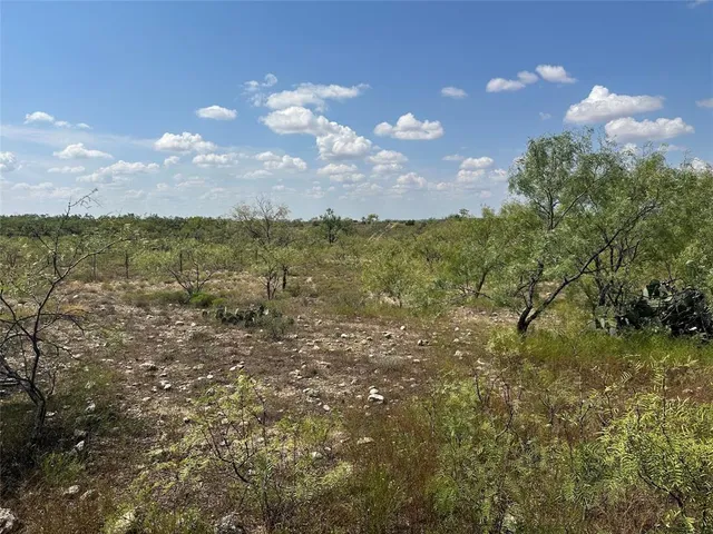 a backyard of a house with lots of trees