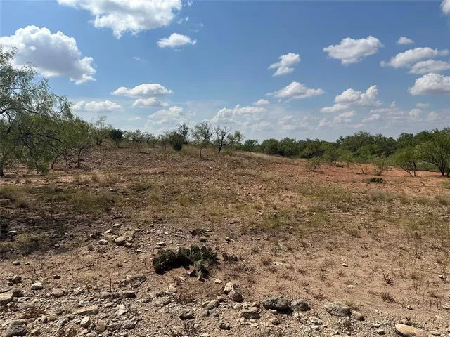 a view of a big yard