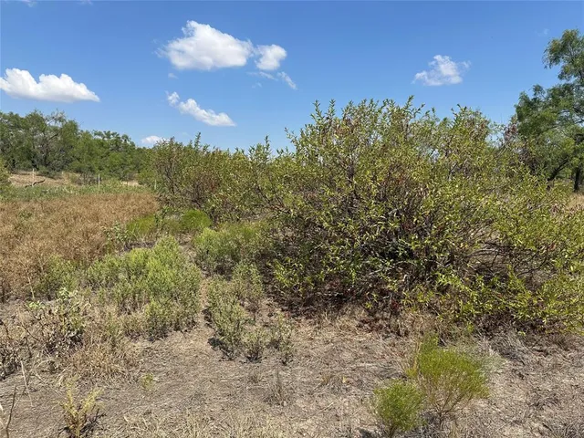 a view of a dry yard