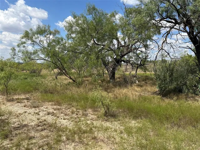a view of yard with ocean view