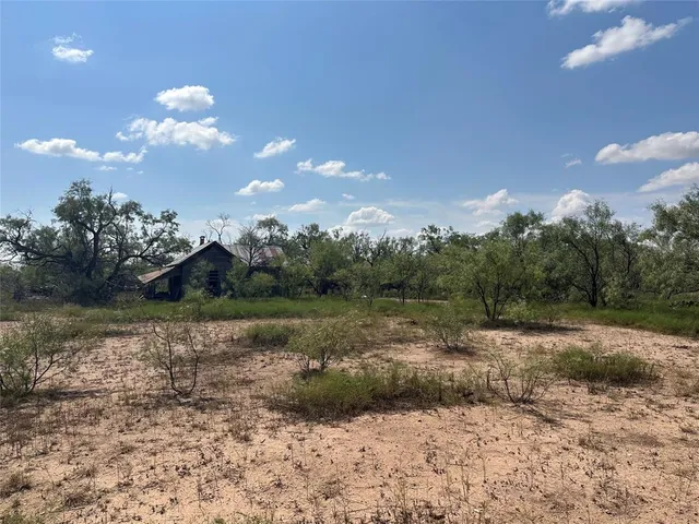 a view of a flower in a yard