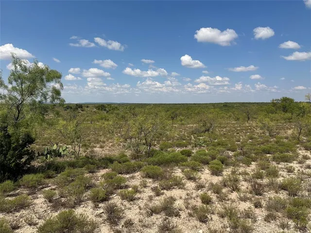 a view of a lake from a yard