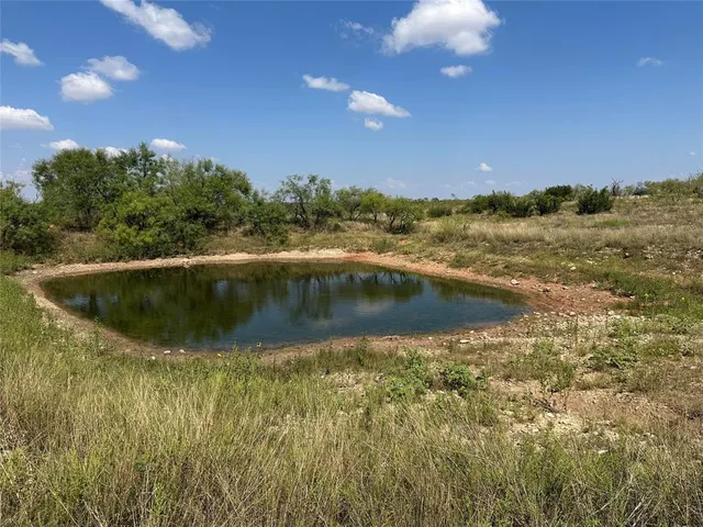 a view of a lake in middle of forest