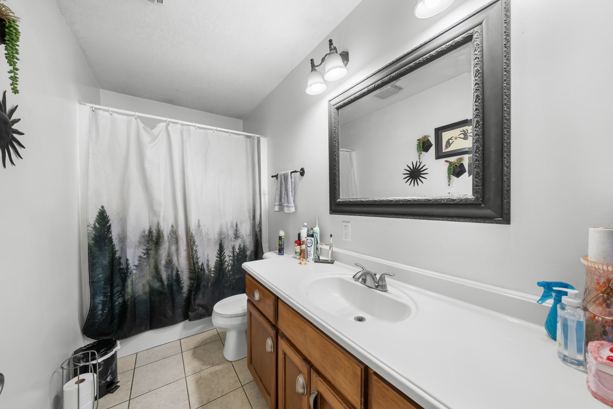 124 Brown Lane Tracy City, TN 37387 - Photo 20 of 28 a bathroom with a sink mirror and a toilet
