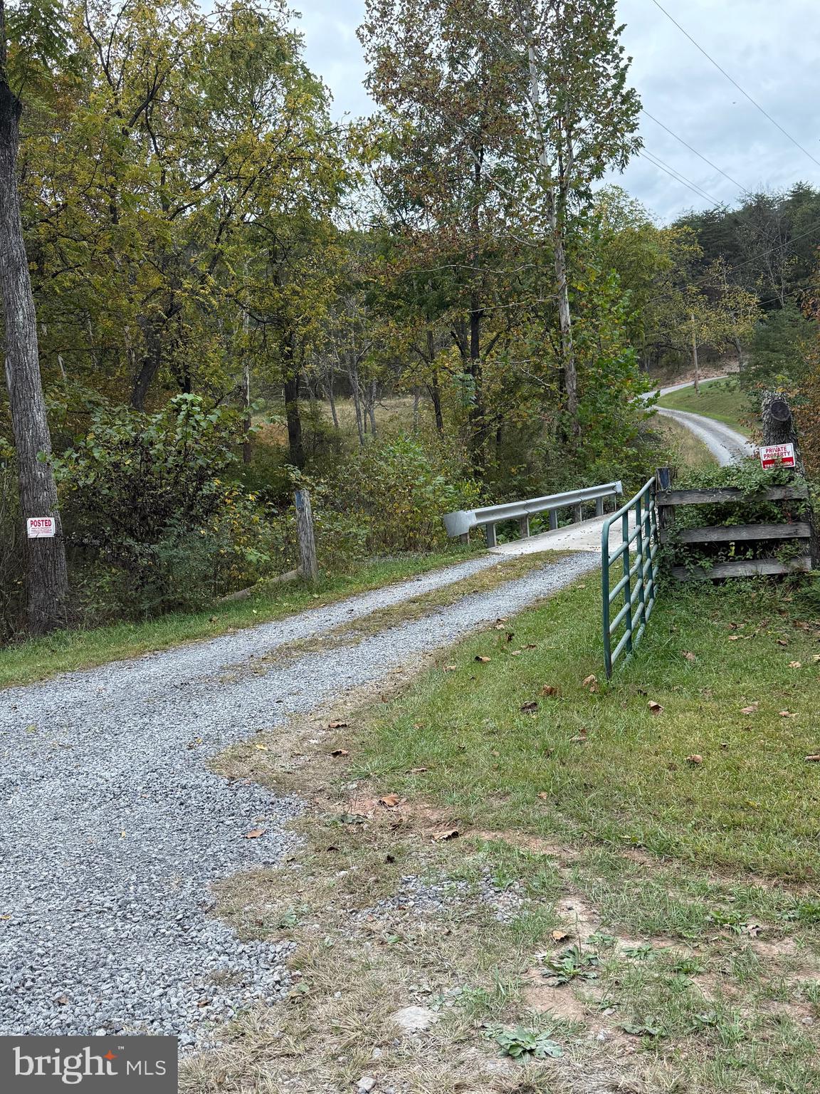 1684 Posey Hollow Road Berkeley Springs, WV 25411 - Photo 2 of 7 a view of a yard with large trees