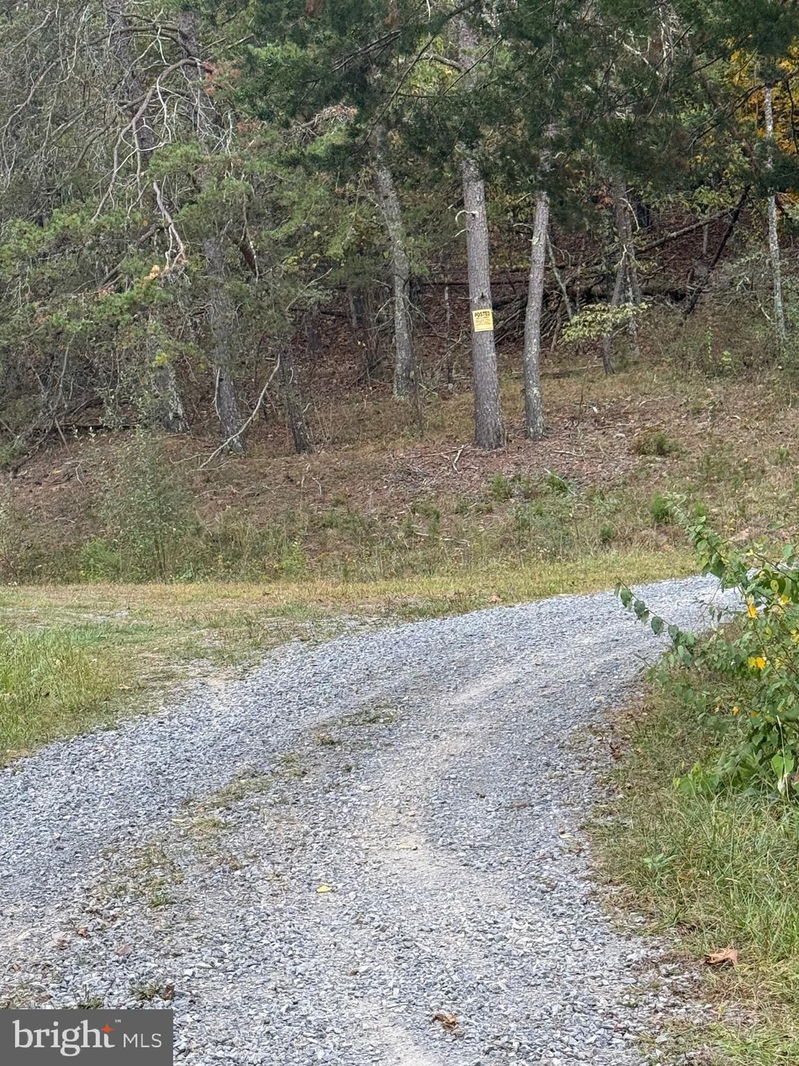 1684 Posey Hollow Road Berkeley Springs, WV 25411 - Photo 3 of 7 a view of a yard with a tree