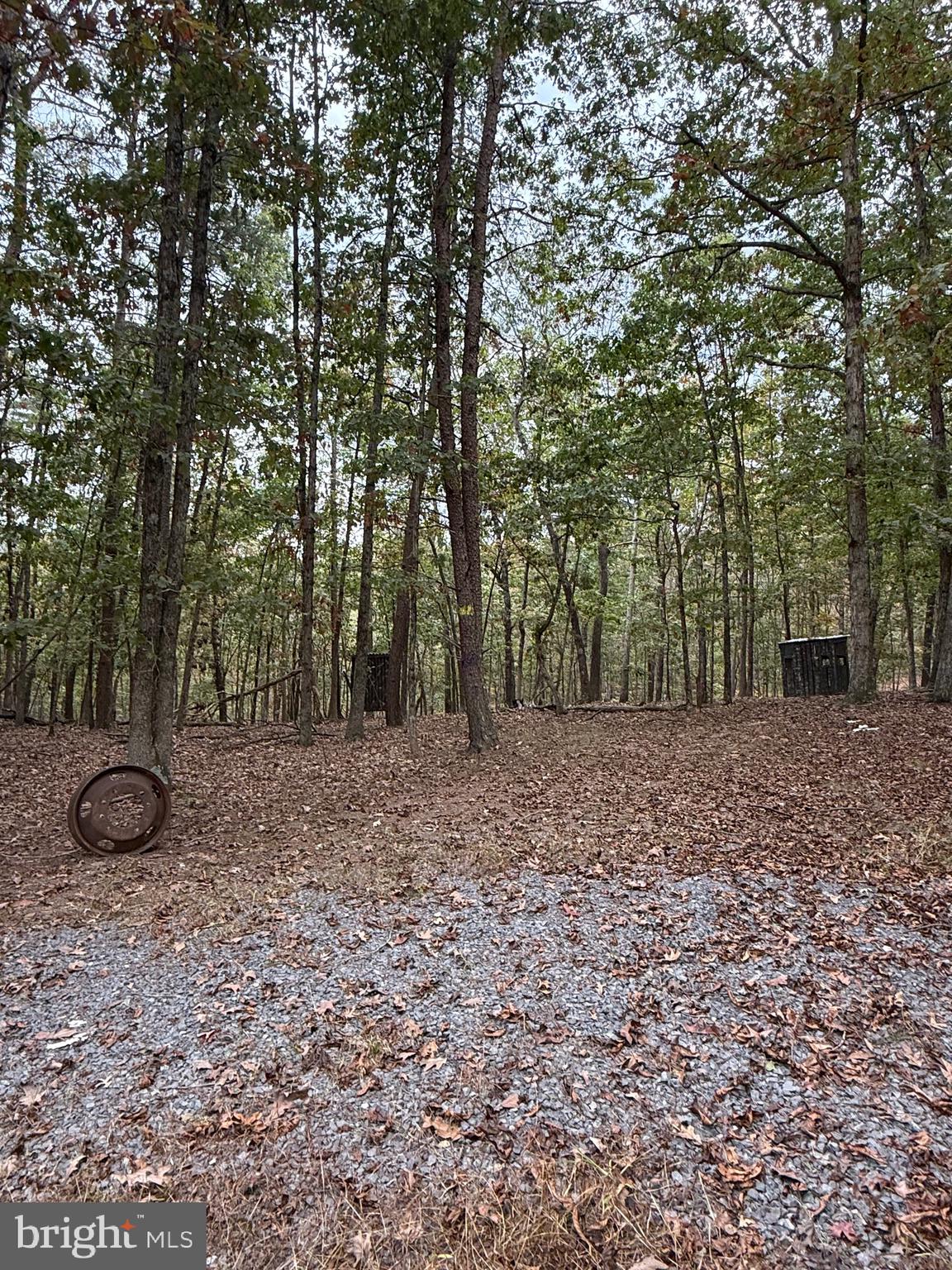 1684 Posey Hollow Road Berkeley Springs, WV 25411 - Photo 5 of 7 a view of outdoor space with deck and yard