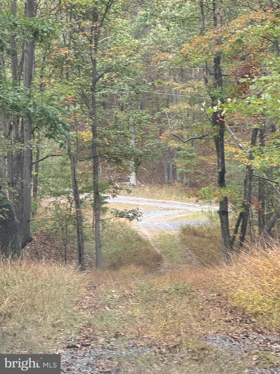 1684 Posey Hollow Road Berkeley Springs, WV 25411 - Photo 7 of 7 a view of a yard with wooden fence