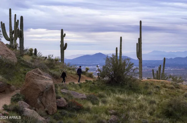 $19,495 | 11784 North 110th Place, Scottsdale, AZ 85259