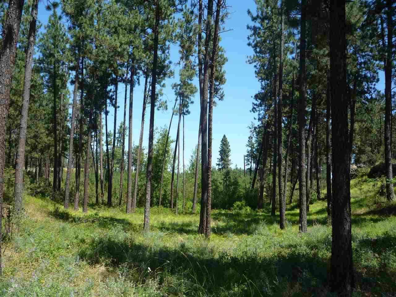 12208 South Sherman Road, Unit PARCEL 1 Spokane, WA 99224 - Photo 1 of 18 Gallery Image 1