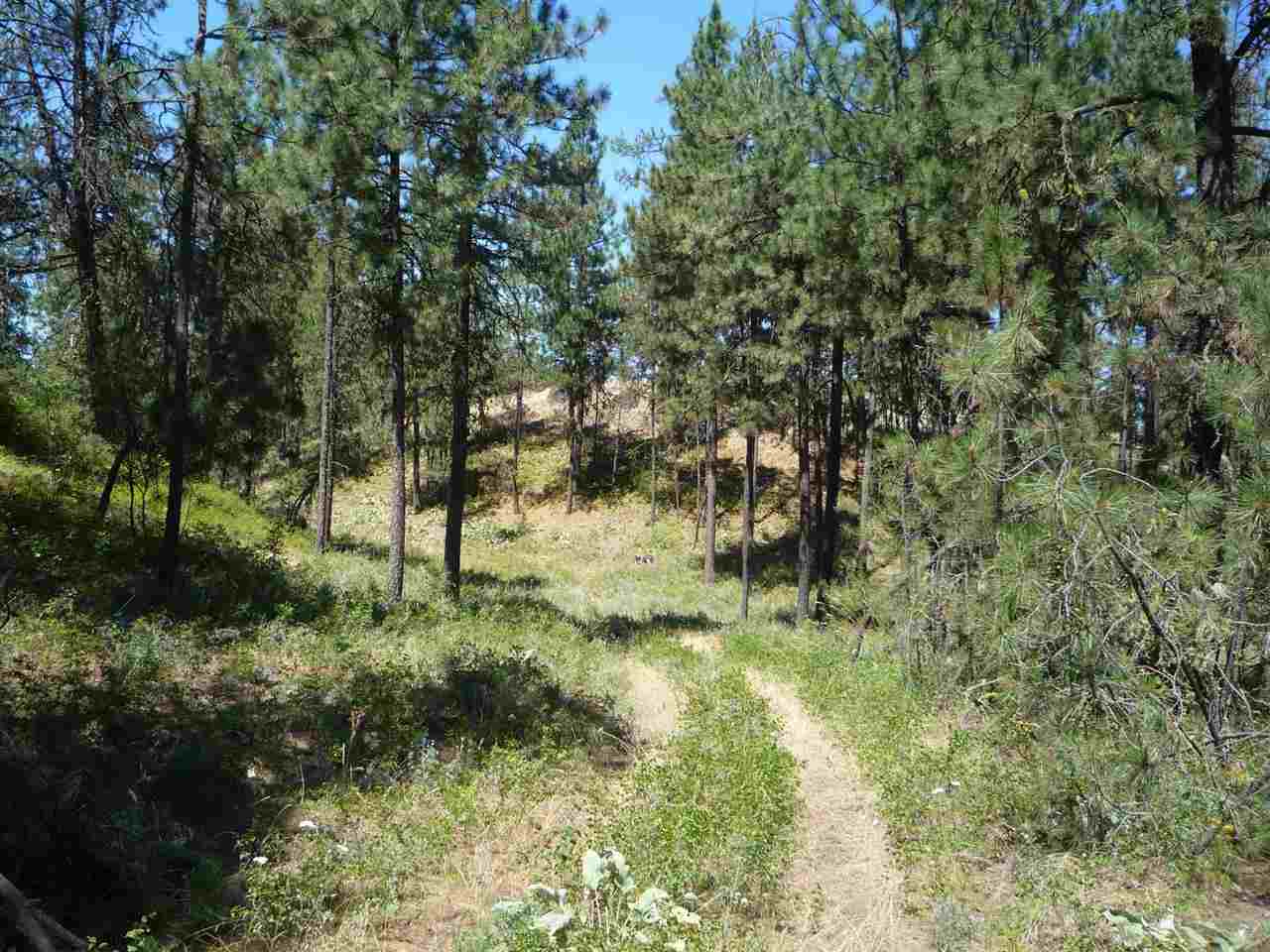 12208 South Sherman Road, Unit PARCEL 1 Spokane, WA 99224 - Photo 2 of 18 Gallery Image 2