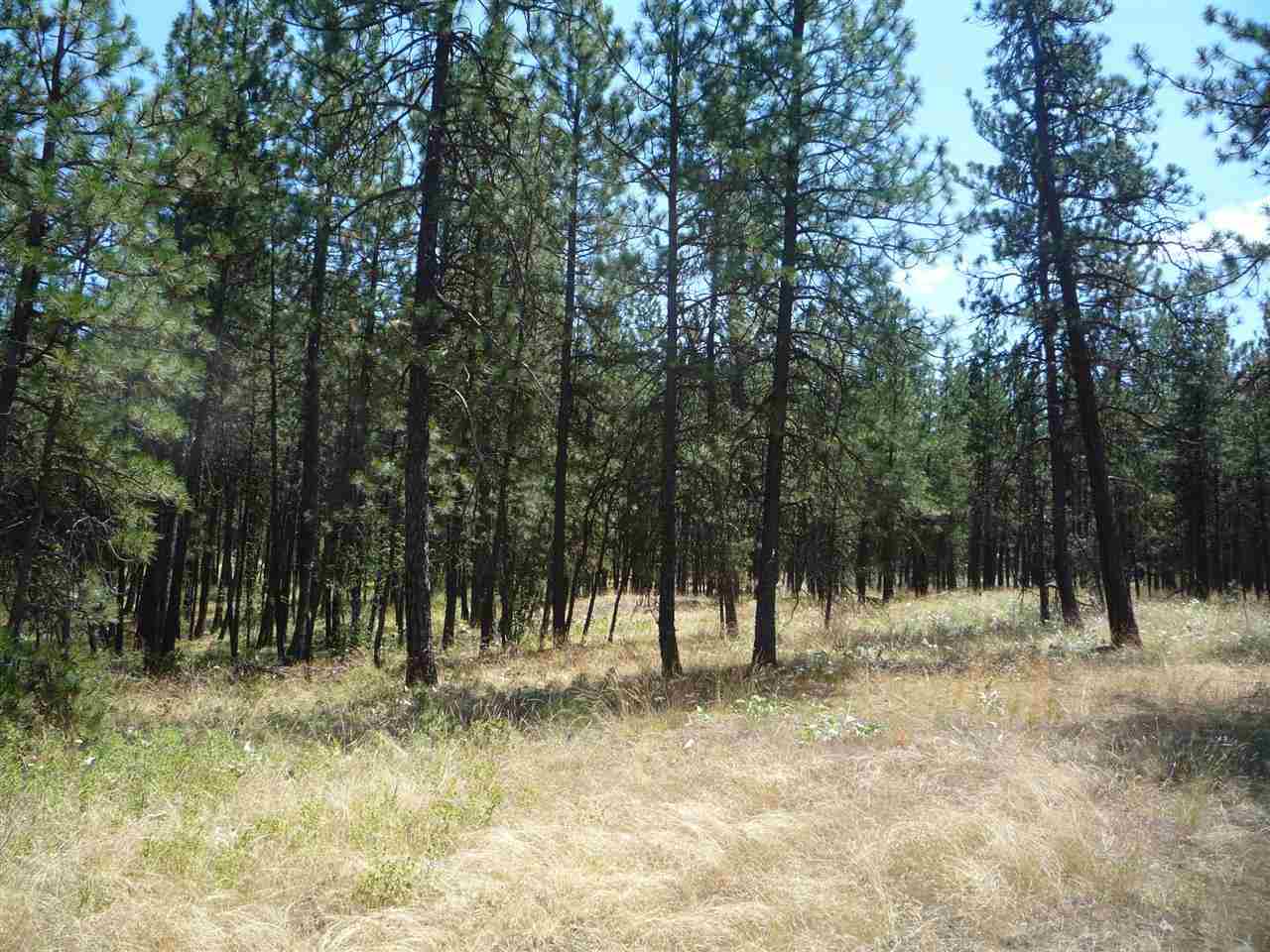 12208 South Sherman Road, Unit PARCEL 1 Spokane, WA 99224 - Photo 12 of 18 Gallery Image 12