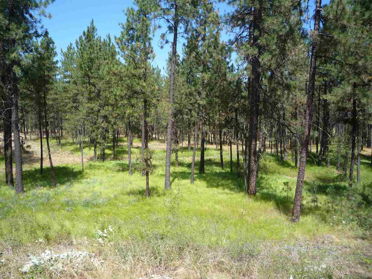 12208 South Sherman Road, Unit PARCEL 1 Spokane, WA 99224 - Photo 13 of 18 Gallery Image 13