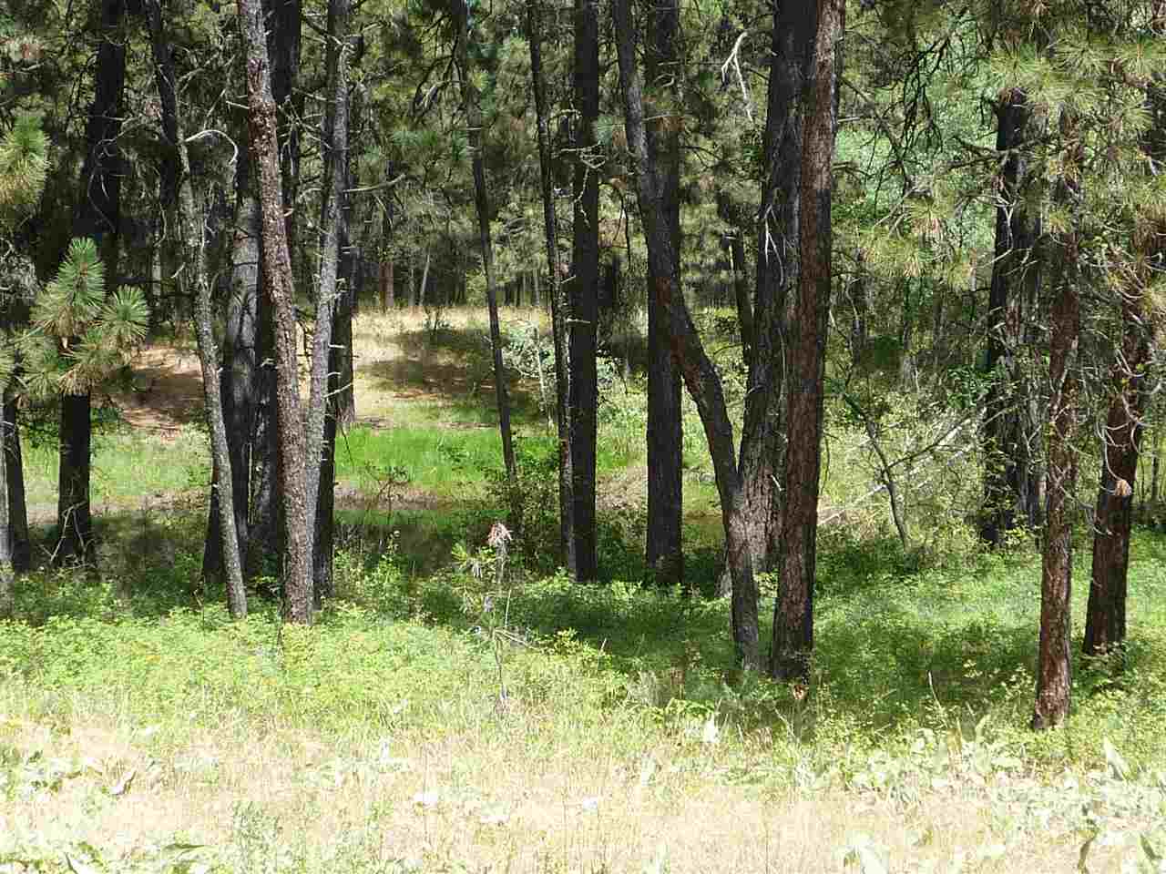 12208 South Sherman Road, Unit PARCEL 1 Spokane, WA 99224 - Photo 14 of 18 Gallery Image 14