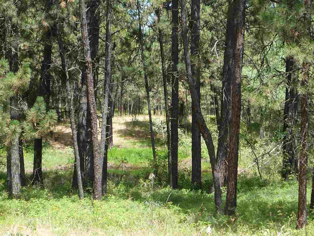 12208 South Sherman Road, Unit PARCEL 1 Spokane, WA 99224 - Photo 15 of 18 Gallery Image 15