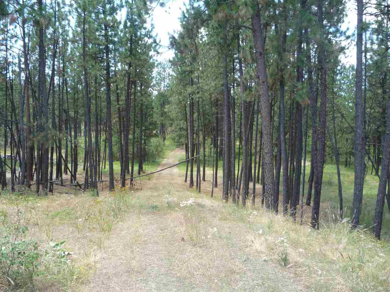 12208 South Sherman Road, Unit PARCEL 1 Spokane, WA 99224 - Photo 16 of 18 Gallery Image 16