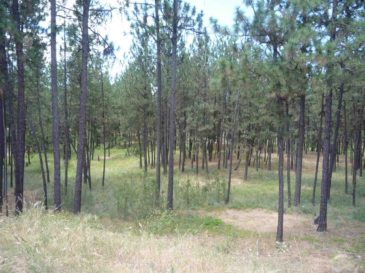 12208 South Sherman Road, Unit PARCEL 1 Spokane, WA 99224 - Photo 17 of 18 Gallery Image 17