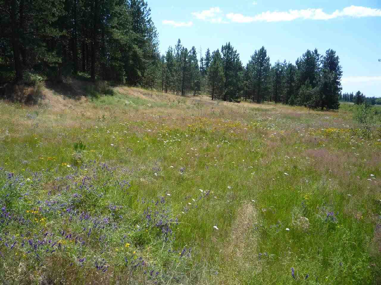 12208 South Sherman Road, Unit PARCEL 1 Spokane, WA 99224 - Photo 3 of 18 Gallery Image 3