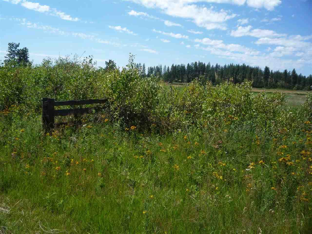 12208 South Sherman Road, Unit PARCEL 1 Spokane, WA 99224 - Photo 4 of 18 Gallery Image 4