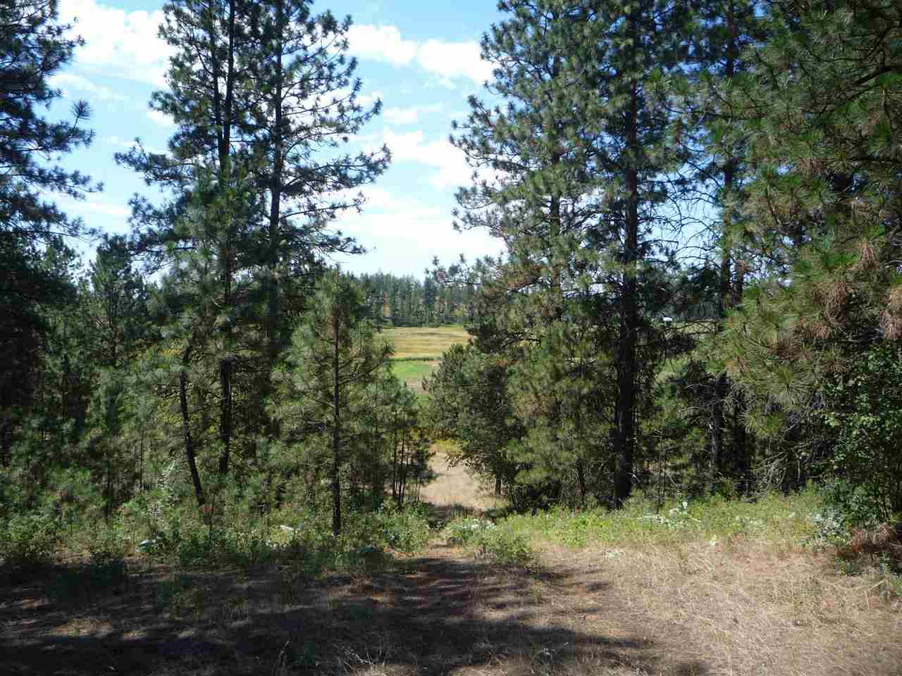 12208 South Sherman Road, Unit PARCEL 1 Spokane, WA 99224 - Photo 5 of 18 Gallery Image 5