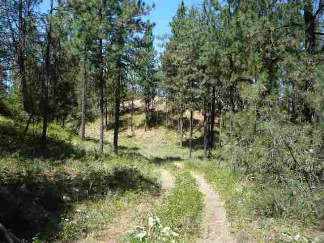 12208 South Sherman Road, Unit PARCEL 1 Spokane, WA 99224 - Photo 6 of 18 Gallery Image 6