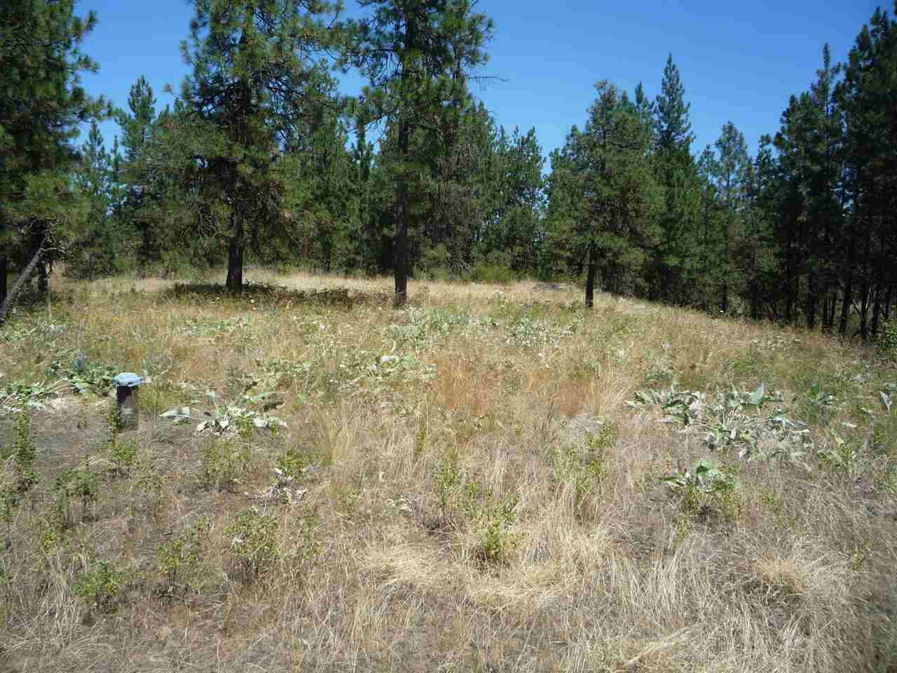 12208 South Sherman Road, Unit PARCEL 1 Spokane, WA 99224 - Photo 7 of 18 Gallery Image 7