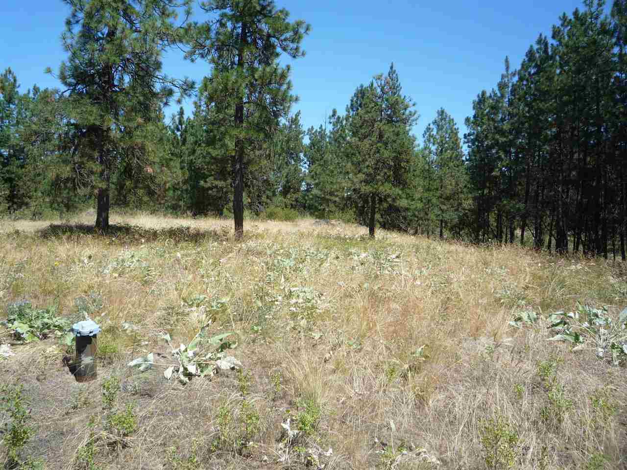12208 South Sherman Road, Unit PARCEL 1 Spokane, WA 99224 - Photo 10 of 18 Gallery Image 10