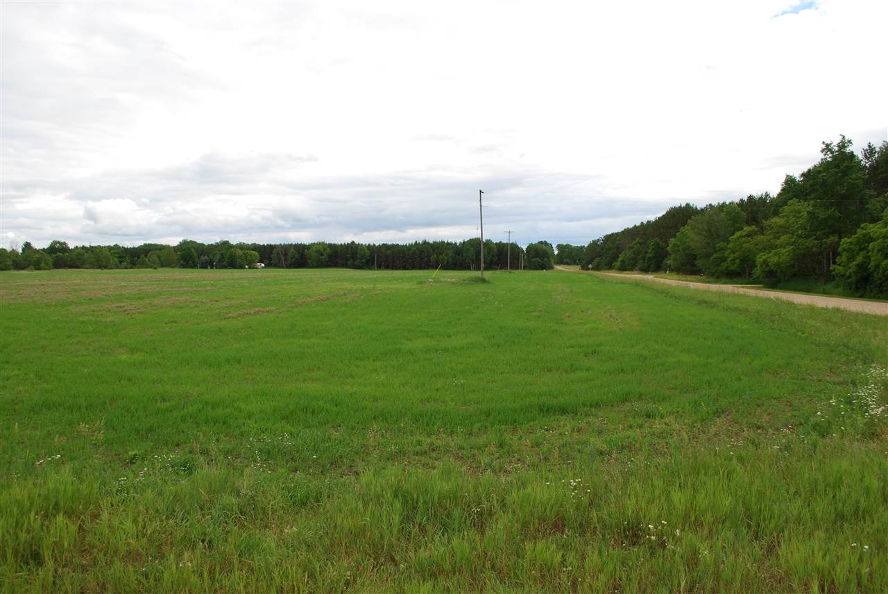 6773 Kenny Road Kaleva, MI 49645 - Photo 45 of 47 1826335-44.JPG