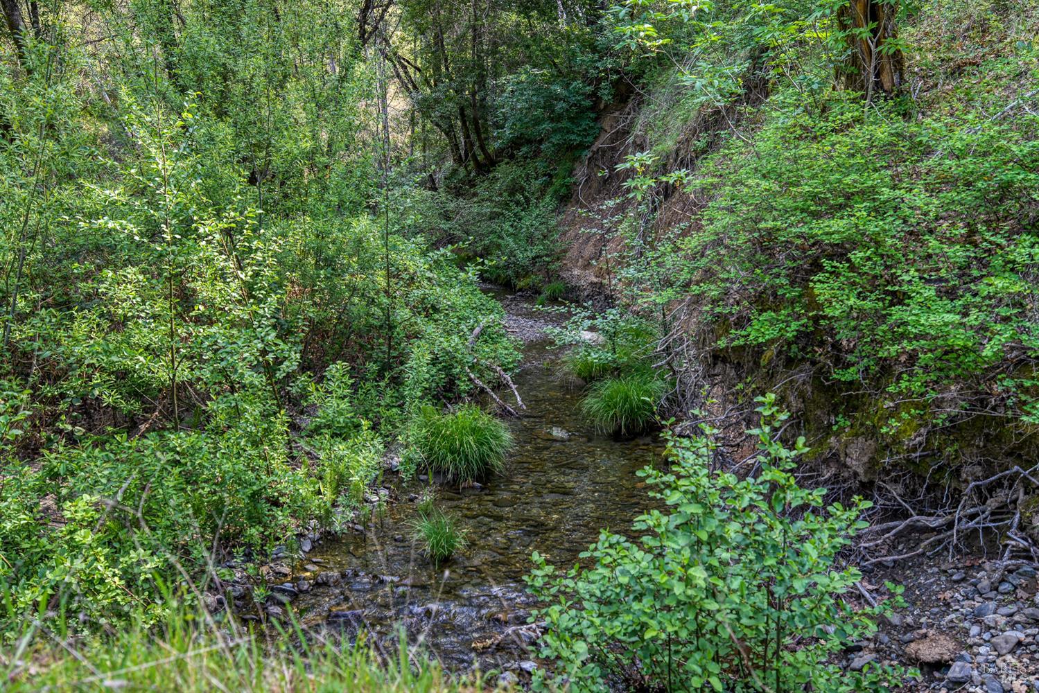 12300 Skaggs Springs Road Geyserville, CA 95441 - Photo 5 of 68 Confluence of Warm Springs and Willow Springs Creeks. All year Alder lined live fishery creek.