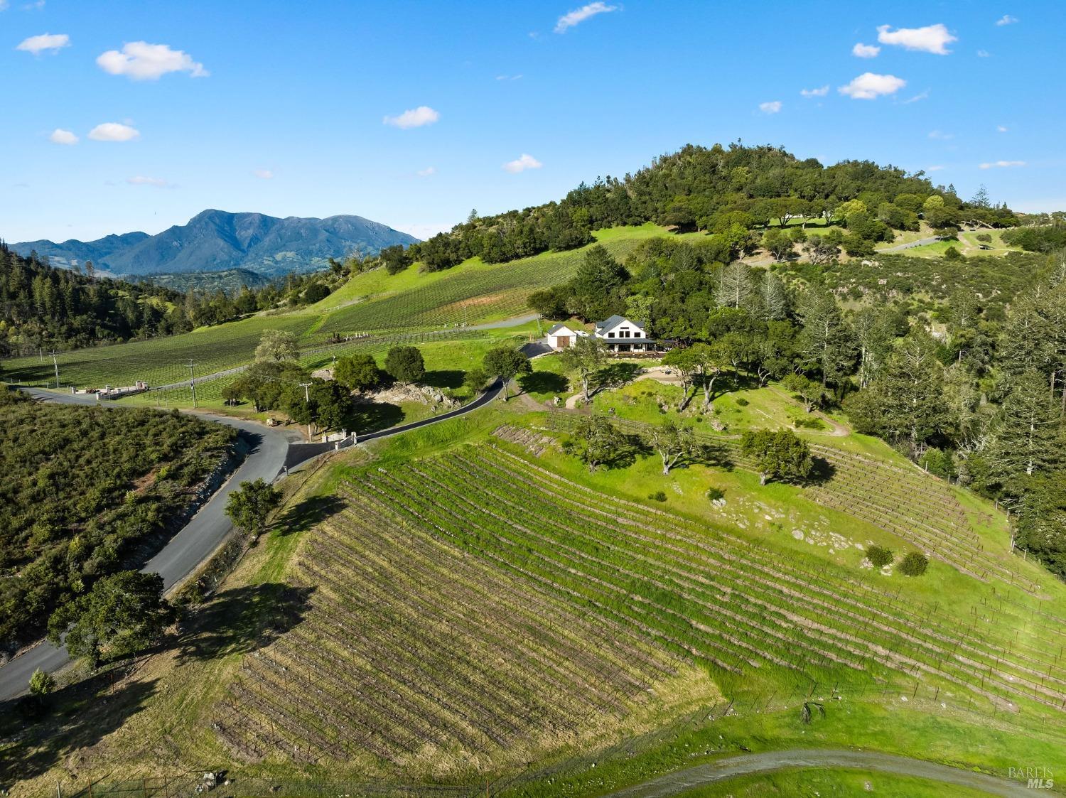 3900 Franz Valley Road Santa Rosa, CA 95404 - Photo 11 of 89