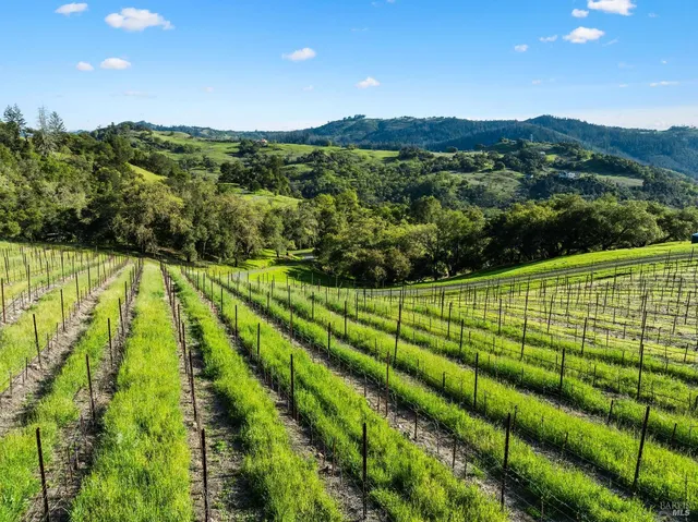 $2,950,000 | 3900 Franz Valley Road, Santa Rosa, CA 95404