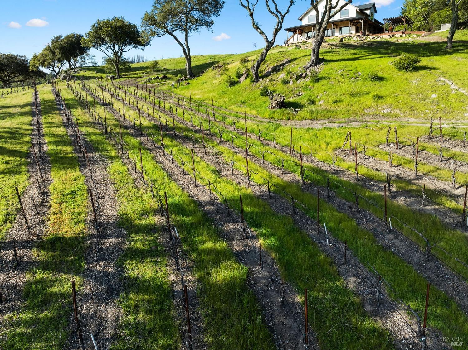 3900 Franz Valley Road Santa Rosa, CA 95404 - Photo 15 of 89