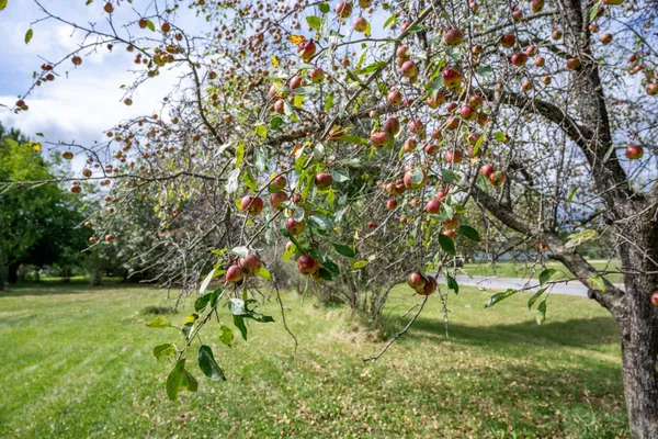 $370,000 | 31395 Fresno Avenue, Tomah, WI 54660