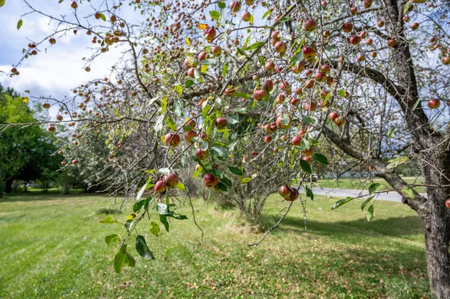 $380,000 | 31395 Fresno Avenue, Tomah, WI 54660