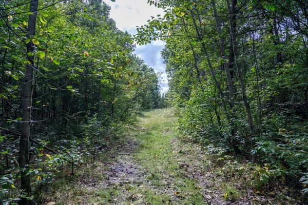 $370,000 | 31395 Fresno Avenue, Tomah, WI 54660