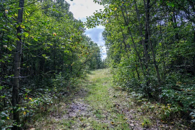 $380,000 | 31395 Fresno Avenue, Tomah, WI 54660