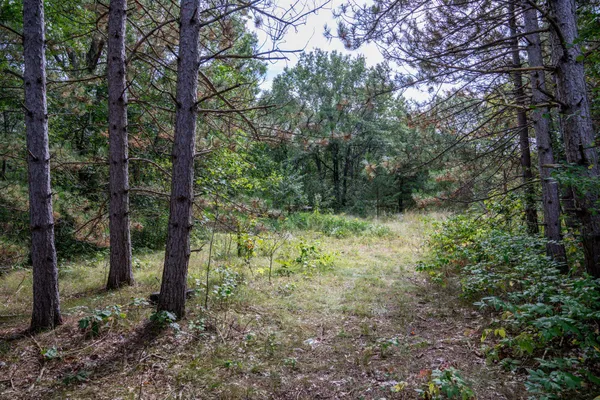 $370,000 | 31395 Fresno Avenue, Tomah, WI 54660