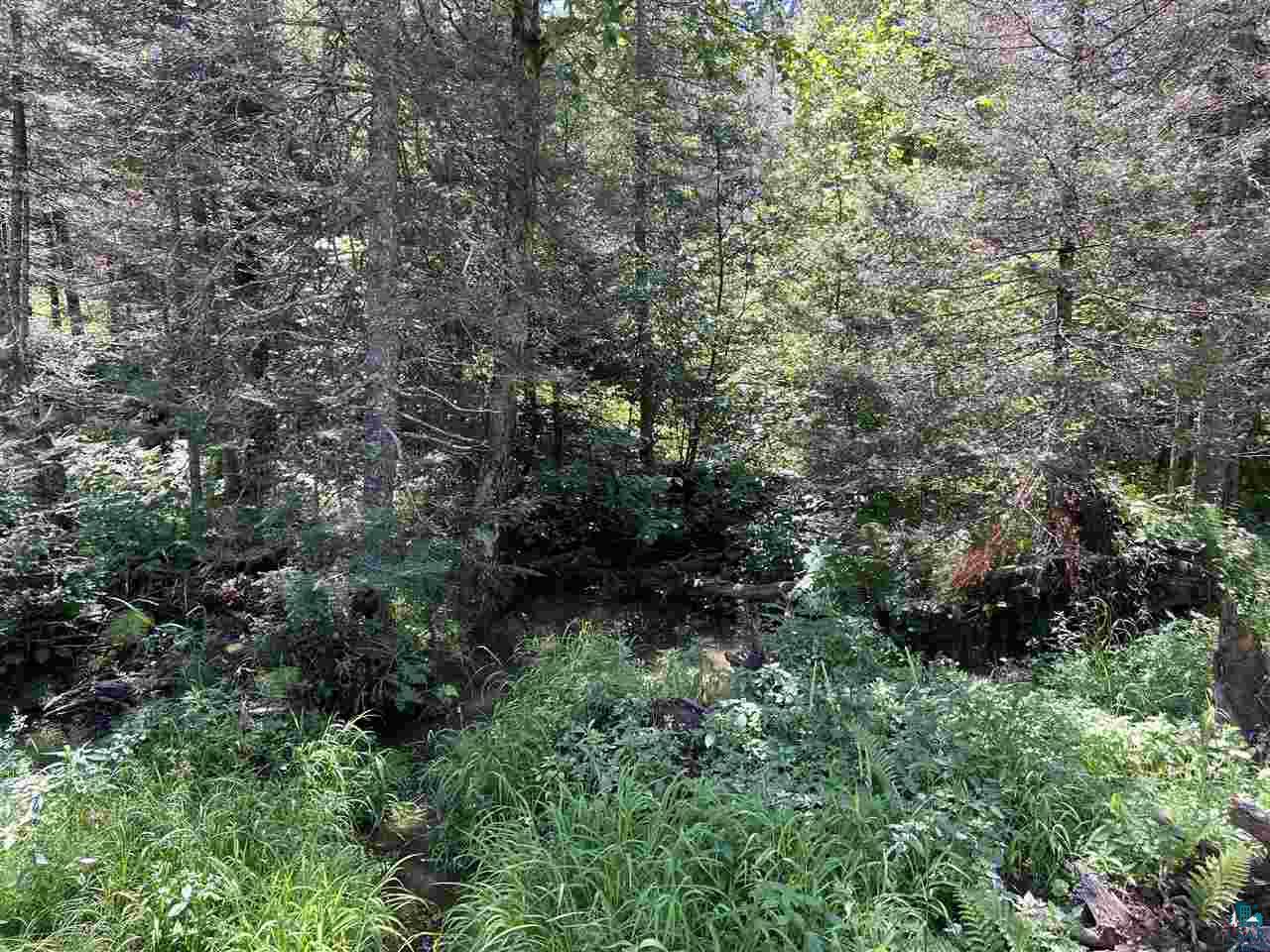 2098 Fors Road Two Harbors, MN 55616 - Photo 4 of 5